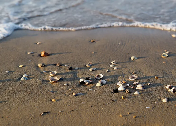 Apartman Modern Flat With A Fenced Garden And Fireplace